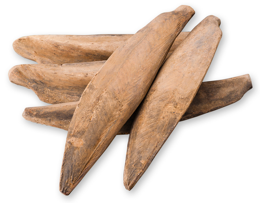 本節(鰹本枯節)