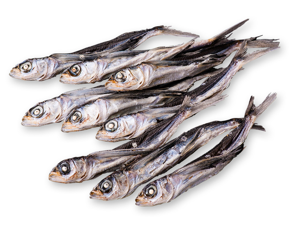 あご煮干(飛び魚)