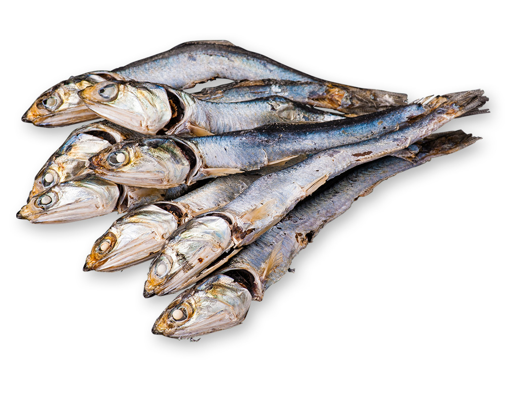 片口煮干背黒(青口)