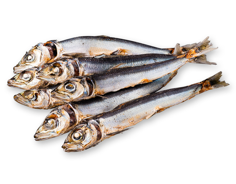 うるめ煮干(うるめ鰯)
